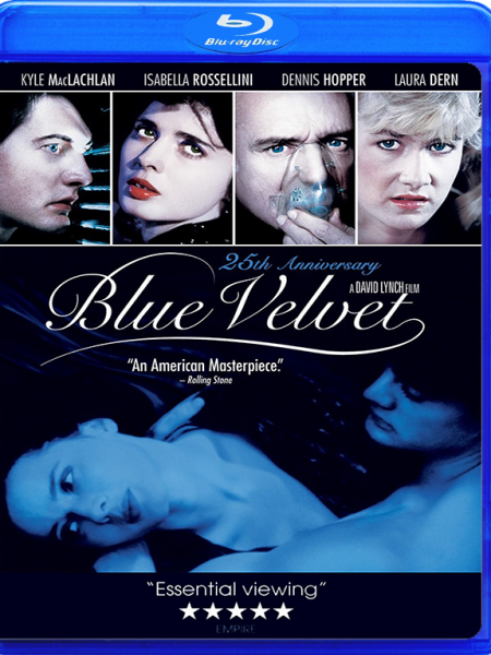 Çığlıklı Sevişmeler İçeren Erotik Film Mavi Kadife izle